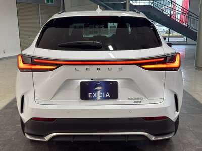 2023 Lexus NX 照片 8