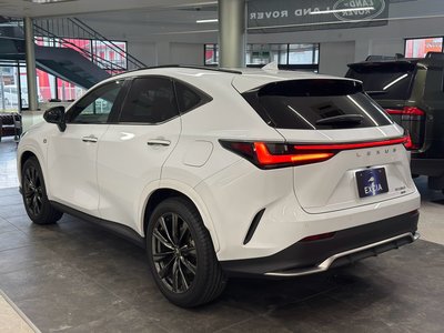2023 Lexus NX 照片 7