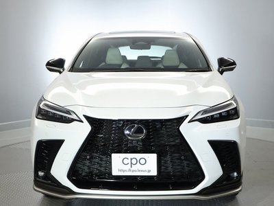 2025 Lexus NX — миниатюра 12