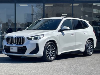BMW X1 - 1