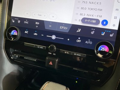 2024 Toyota ALPHARD 缩略图 28