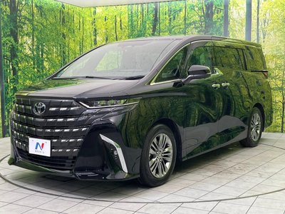 2024 Toyota ALPHARD 缩略图 64