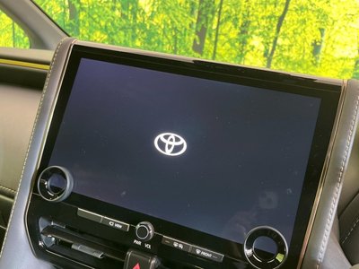 2024 Toyota ALPHARD — фото 3