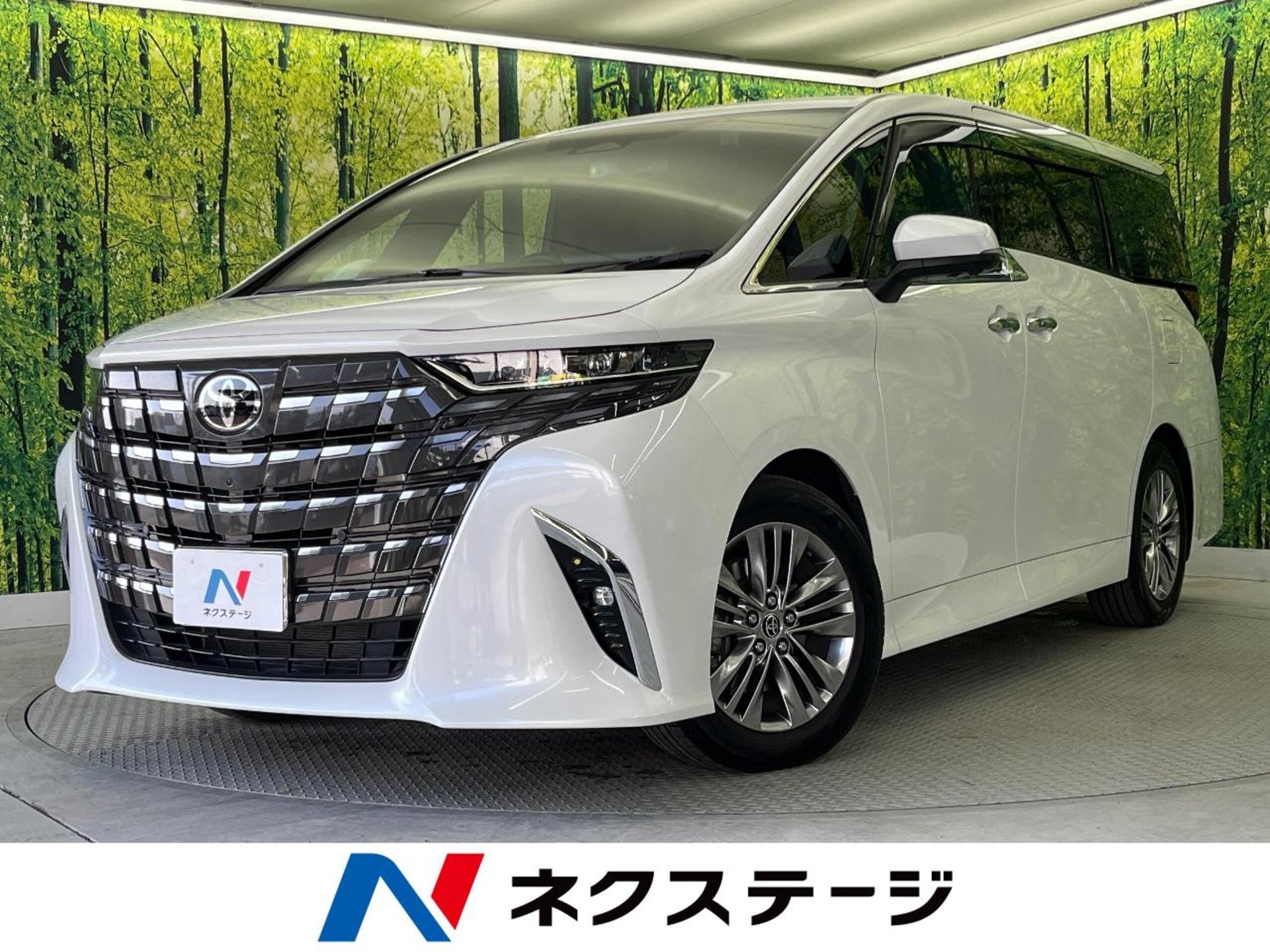 TOYOTA ALPHARD - View 1