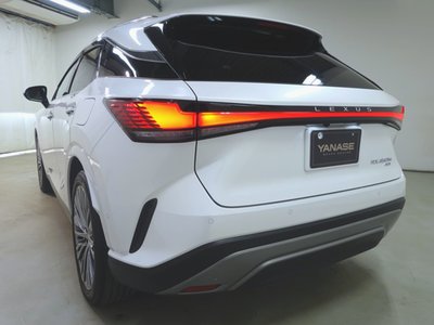 LEXUS RX - 6