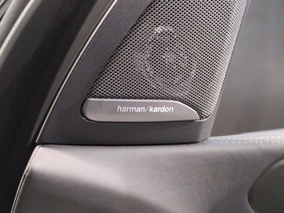 2024 BMW X7 缩略图 68