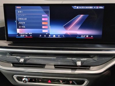 2024 BMW X7 缩略图 75