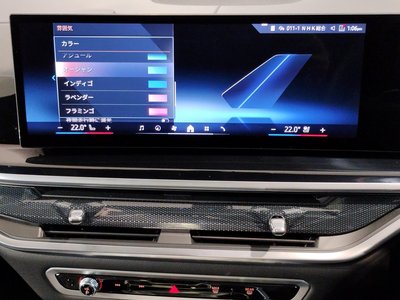 2024 BMW X7 缩略图 74