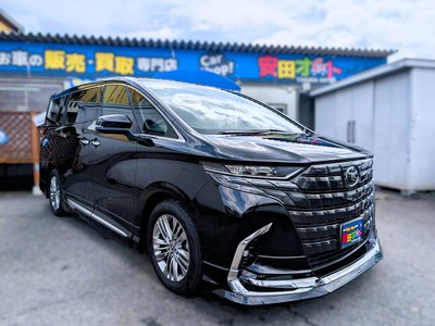 2025 TOYOTA ALPHARD — миниатюра 31