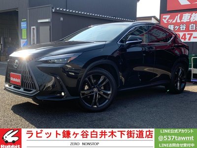 LEXUS NX - 2