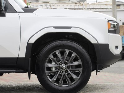 2025 Toyota LAND CRUISER 250 缩略图 12