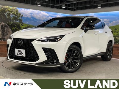 LEXUS NX - 1