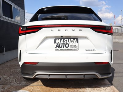LEXUS NX - 6