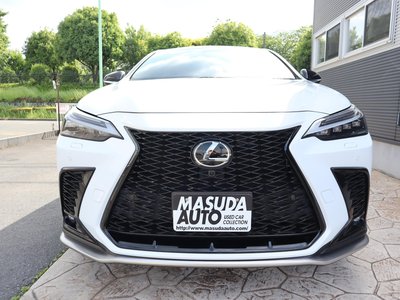 LEXUS NX - 1