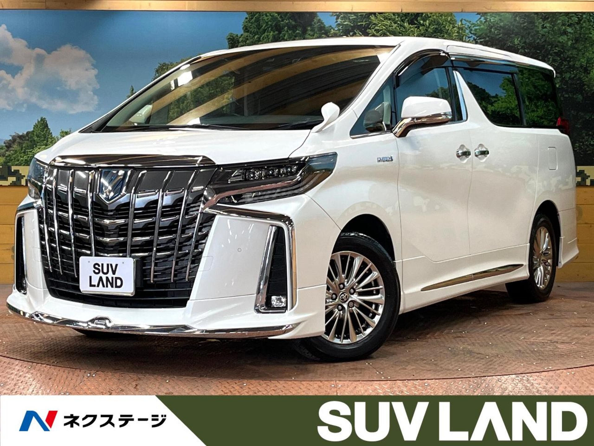TOYOTA ALPHARD - View 1