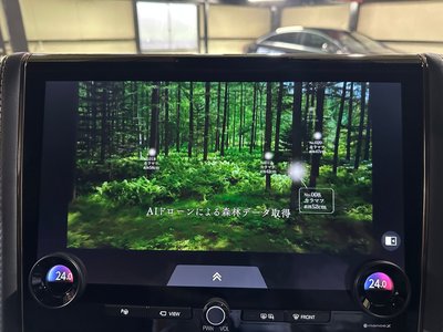 TOYOTA VELLFIRE - 10