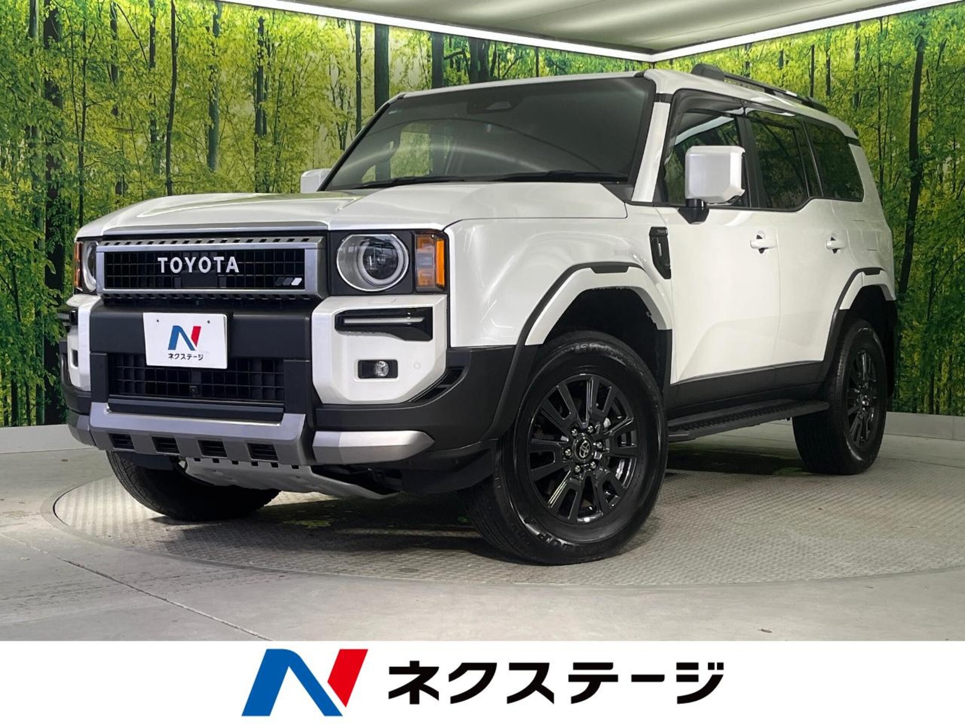 TOYOTA LAND CRUISER 250 - View 1