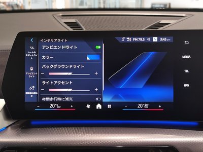2025 BMW X2 photo 5