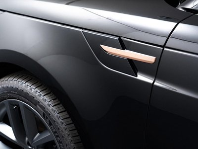 2025 LAND Rover RANGE ROVER SPORT 缩略图 68