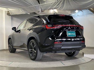 LEXUS NX - 6