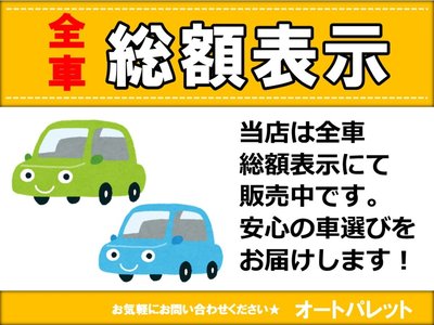 1999 Nissan SYLVIA 照片 2