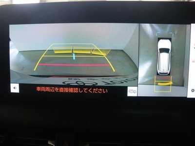 TOYOTA LAND CRUISER 250 - 8