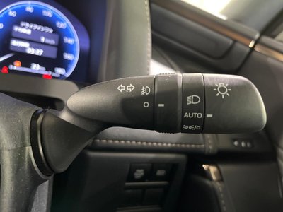 صورة مصغرة 28 لـ 2025 Toyota ALPHARD