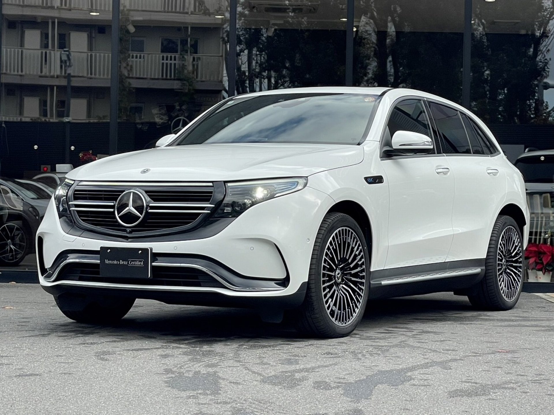MERCEDES-BENZ EQC - View 1