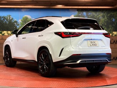 2023 Lexus NX 缩略图 28