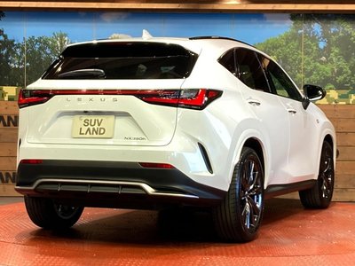 2023 Lexus NX 缩略图 17