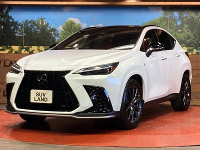 2023 Lexus NX 缩略图 26