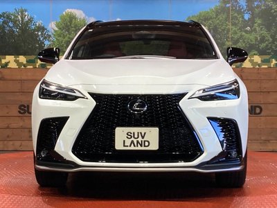 2023 Lexus NX 缩略图 14
