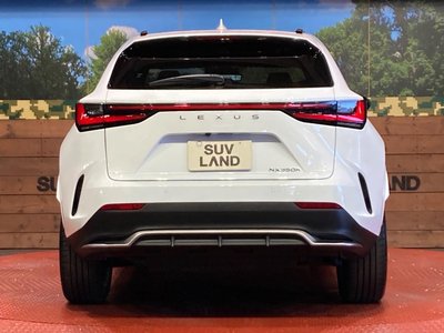 2023 Lexus NX 缩略图 15