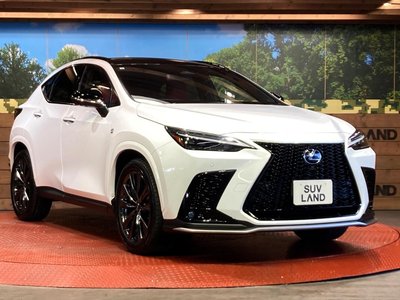 2023 Lexus NX 缩略图 16