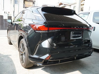 2024 Lexus RX 照片 6