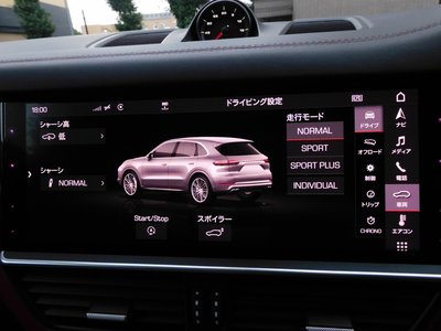 2018 Porsche CAYENNE 缩略图 11