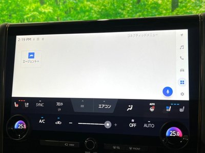 2024 Toyota ALPHARD 缩略图 52