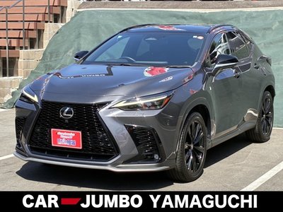 2023 Lexus NX photo 2