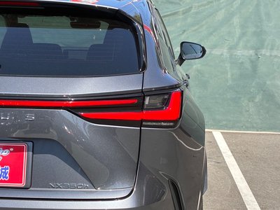 2023 Lexus NX — миниатюра 42