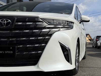 2026 Toyota ALPHARD 缩略图 19