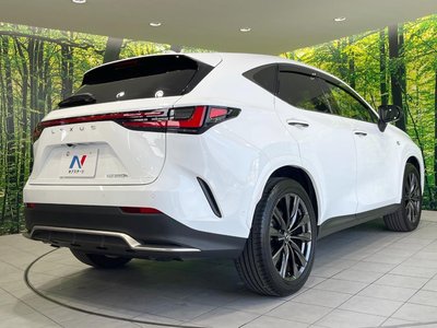 2023 Lexus NX — миниатюра 19