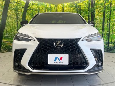 2023 Lexus NX — миниатюра 16