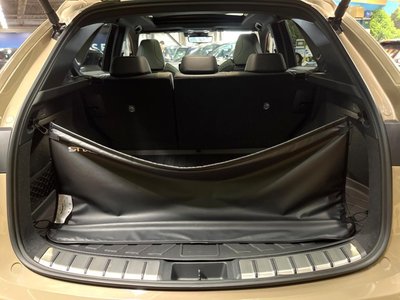 2024 Lexus NX 缩略图 11