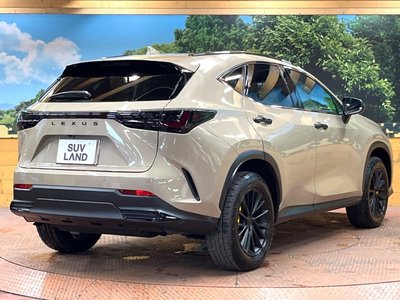 2024 Lexus NX 缩略图 17