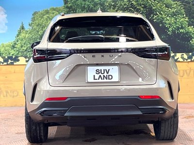 2024 Lexus NX 缩略图 15