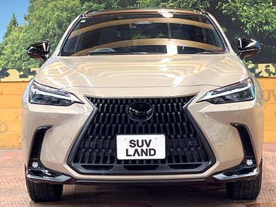 2024 Lexus NX 缩略图 14