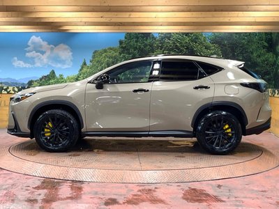 2024 Lexus NX 缩略图 58