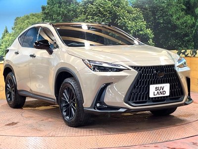 2024 Lexus NX 缩略图 16