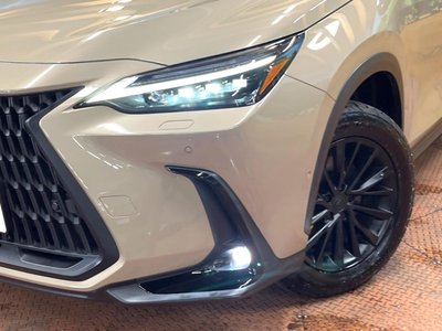 2024 Lexus NX 缩略图 12