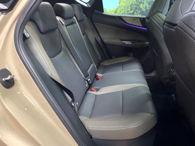 2024 Lexus NX 缩略图 10